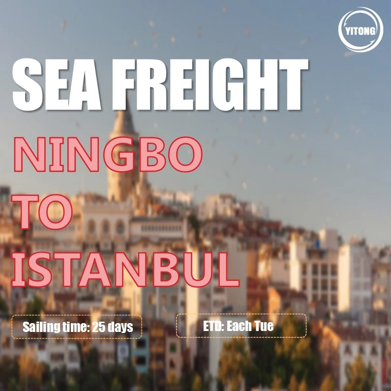 Sea Freight FCL LCL From Qingdao to Istanbul Kumport Ambarli Turkey