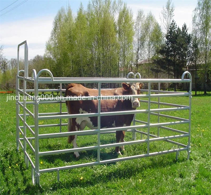 Galvanized Iron Stable Metal Fence Panels Livestock Corral Horse Fence Panels