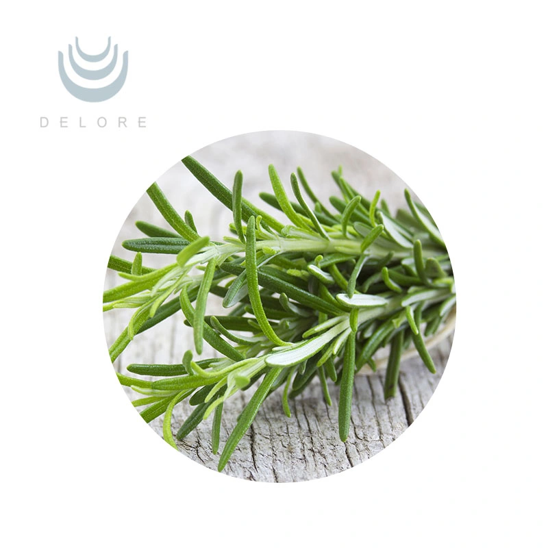 Antioxidants Plant Extract Water Soluble Rosemary Extract Rosmarinic Acid Rosemary Powder Extract