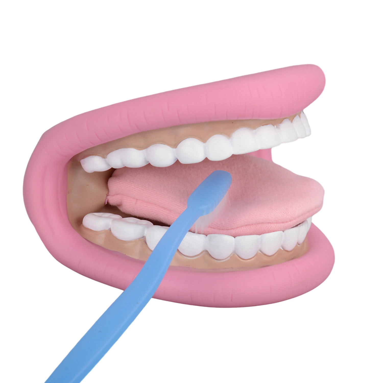 Mouth Hand Puppet with Tongue for Kids and Speech Therapy