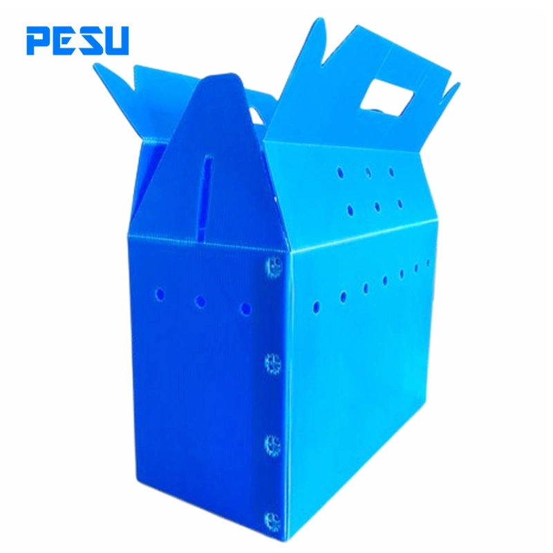 Heavy Duty Plastic Corrugated Box for Packing with Handle