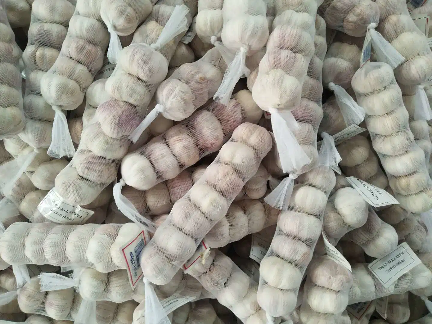 Chinese Fresh Normal White Garlic Good Price