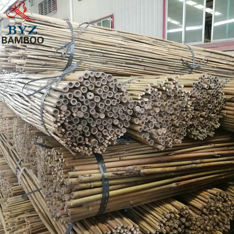 China Cheap Tonkin Natural Bamboo Poles