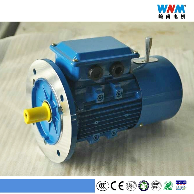 Yxej 0.12~200kw Three Phase AC Induction Electric Speed Control Motor with Electromagnetic Brake for Conveyors Yxej90s-2 1.5kw 2865rpm