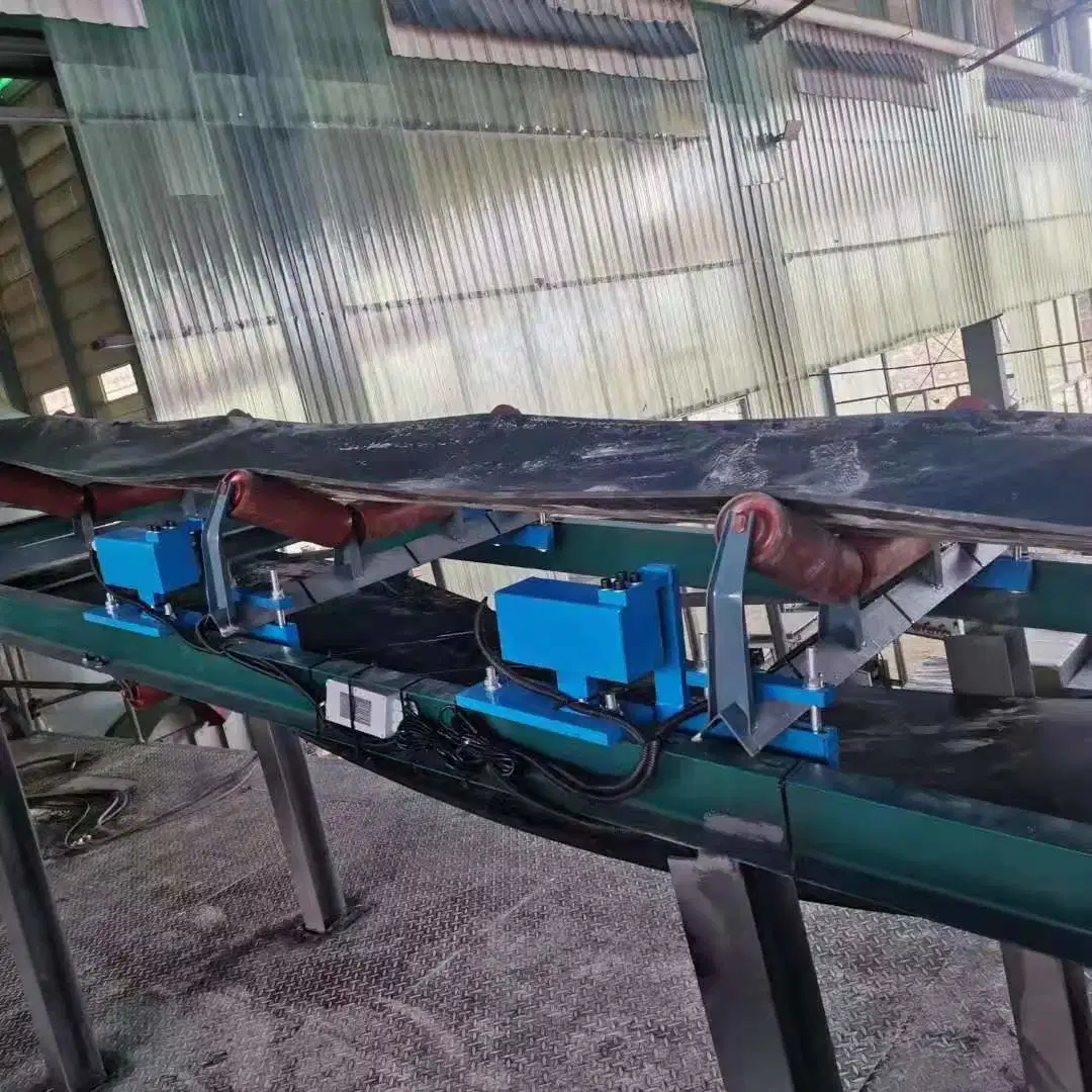 High Capacity Output Electronic Belt Weigher Scale for Coal Plant