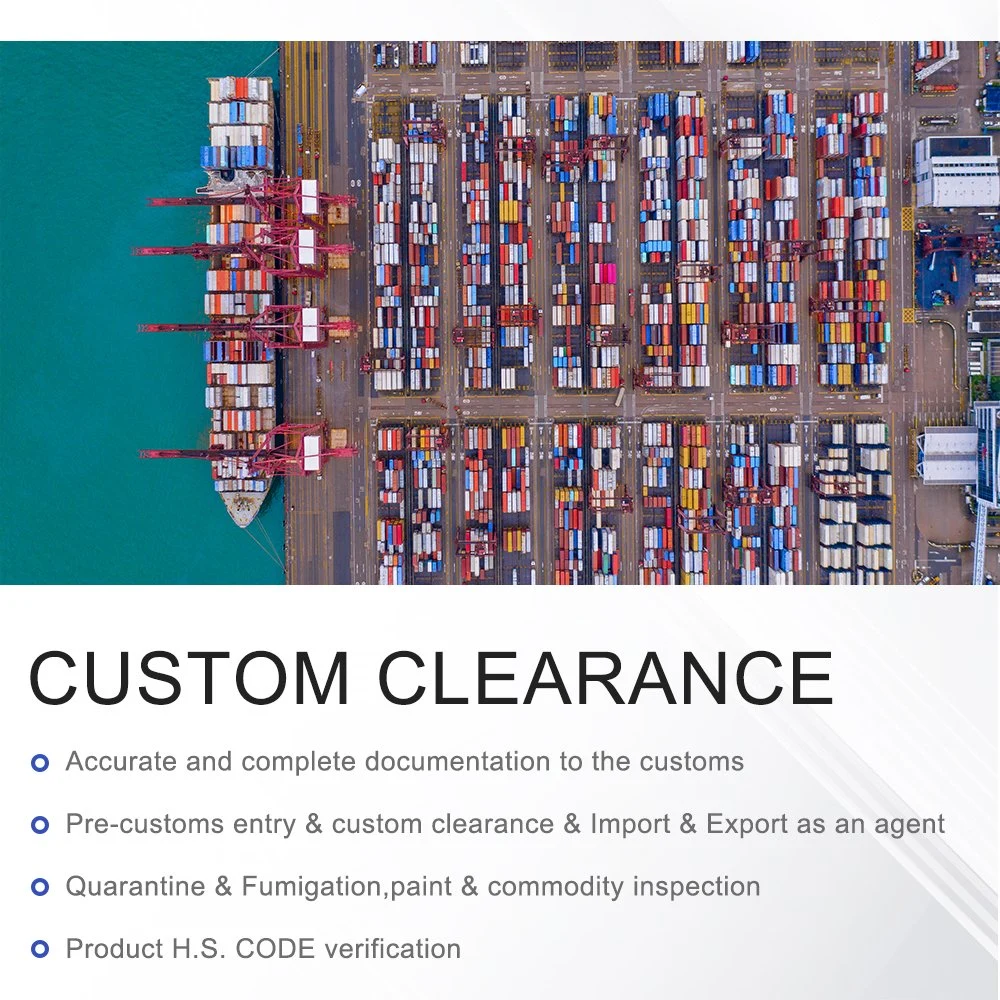 Guangzhou Shenzhen Shanghai Ningbo Tianjin Ocean Freight Forwarder Service to Monterrey Mexico