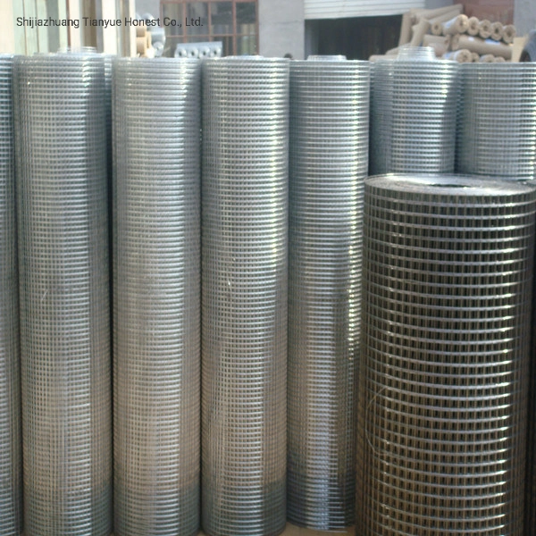 China Galvanized Square Welded Wire Mesh in Roll / Wire Mesh Panel