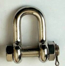 Standard Commercial EU Type Stainless Steel D Shackle with Factory Direct Sale