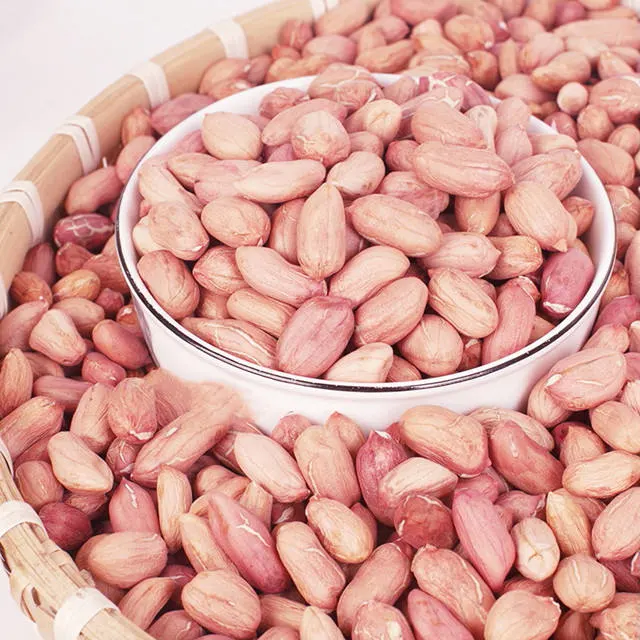 China Peanut Big Size Peanut Kernel Red Skin Cheap Price Good Quality