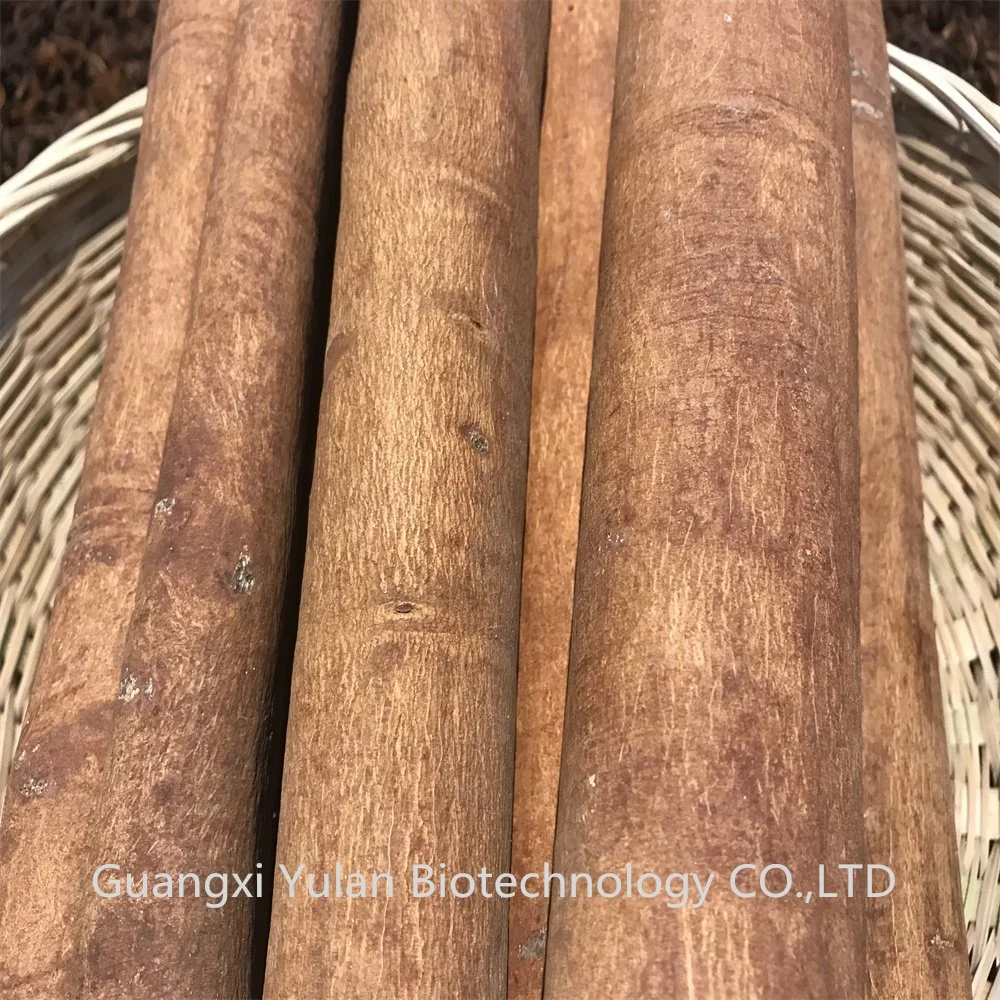 Comercio al por mayor los sabores naturales de la corteza de canela y condimentos Cassia Tube Venta caliente especia