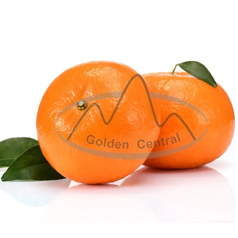 Super Fresh Navel Orange Price Fresh Orange