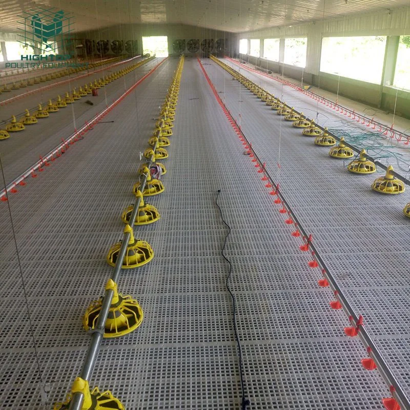 Livestock Poultry Farm Chicken House Coop Automatic Pan Feeding And Drinking System For Broiler Layer