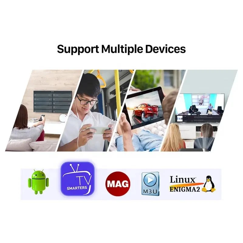 IPTV Subscription M3u for Android TV Box IPTV Reseller Panel