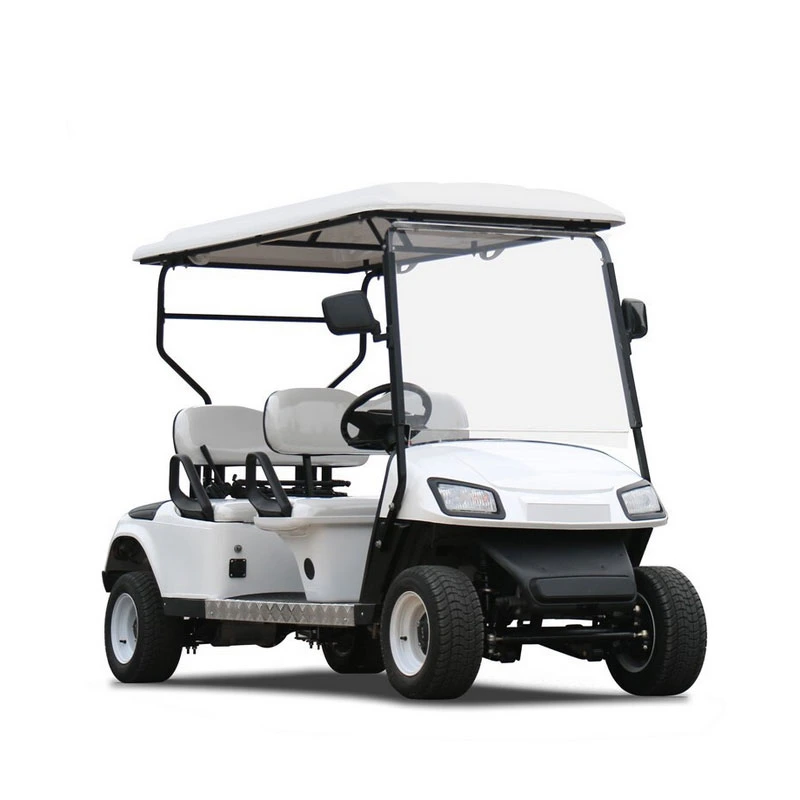 Best Choice of Electric Mini Golf Cart Made in China