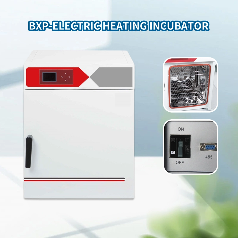 Electric Constant Temperature Incubator Best Selling Lab Instrument Lab Equipment Thermostat Bxp-65