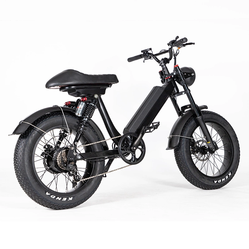 China Ebike Electric bicicleta de montaña con un colorido diseño fresco para la venta