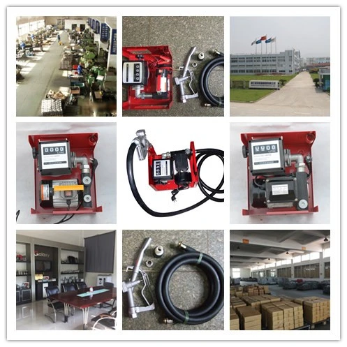 Electric Transfor Pump Unit with Manual Nozzle Zyh-60