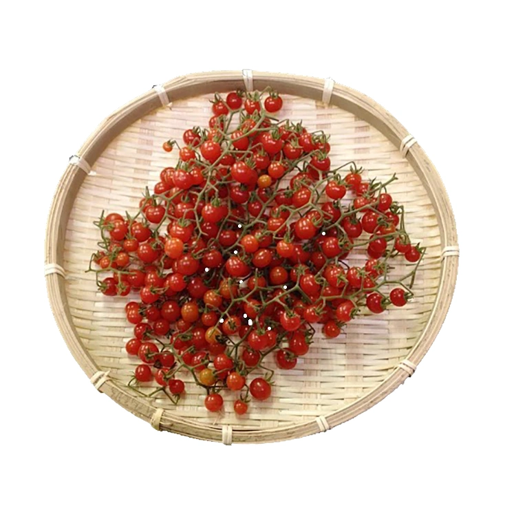 Micro Pearl Tomato Seeds, Lycopersicon Esculentum Mill., Tomato Seeds