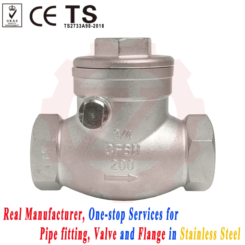 316L Pn10 10bar Swing Check Valve for Fuel Line