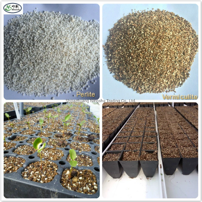 Natural Organic Perlite - Enhanced Drainage for Best Growing