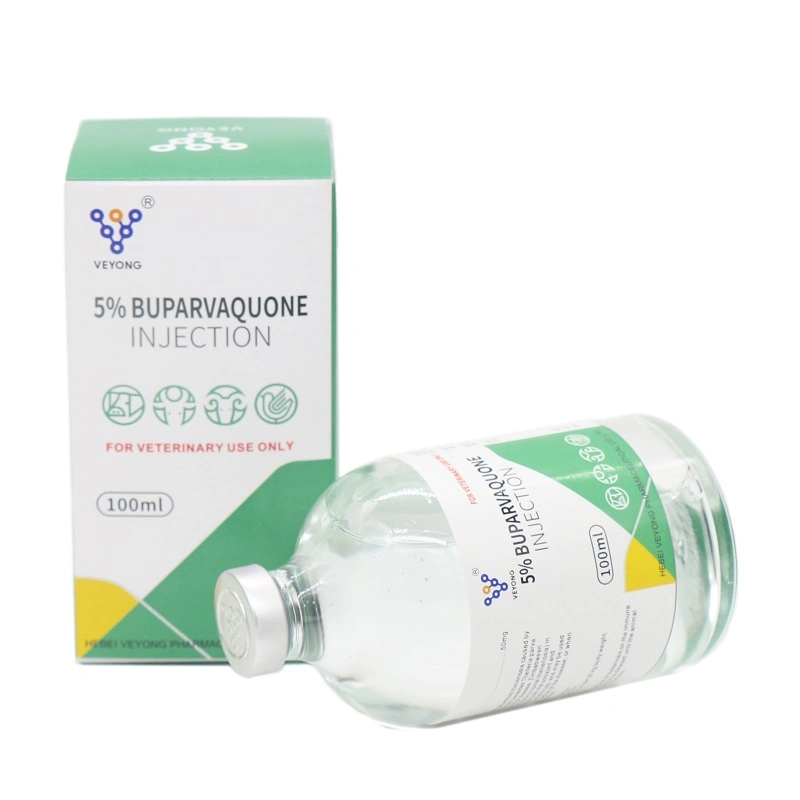 Buparvaquona 50 mg Buparvaquone injection pour bovins solution liquide à 5% Vente en gros de médicaments vétérinaires de Chine Factory