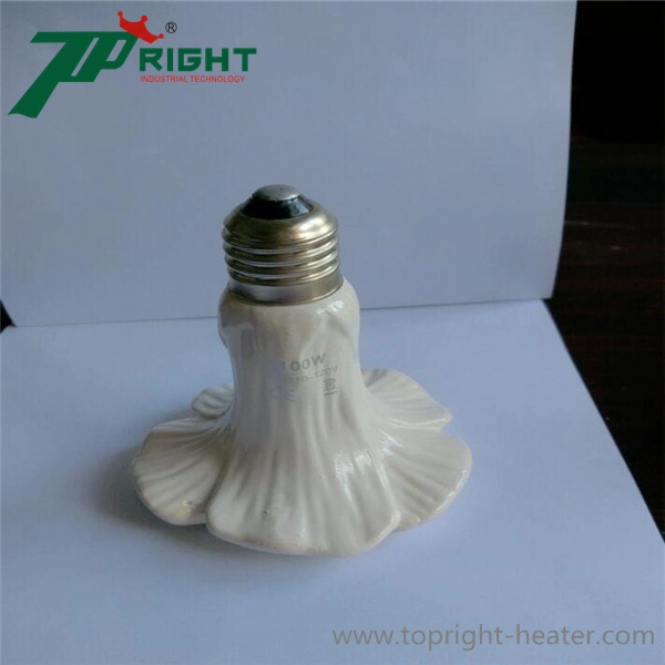 Wholesale/Supplier E27 220V Reptile Heat Lamp Infrared Bulb Ceramic Heat Lamp