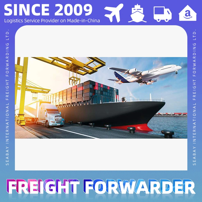 China Professional Sea Shipping Company Service to Rotterdam or Netherlands Import Agent