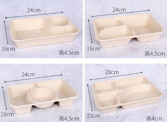 Disposable Biodegradable 3 4 5 Compartment Takeout Bento Meal Lunch Food Container Packaging Sugarcane Bagasse Box with Lid