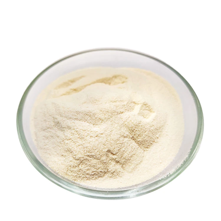 Xanthan Gum for Food Thickening/Feed Industry Food Additives Manufacturer