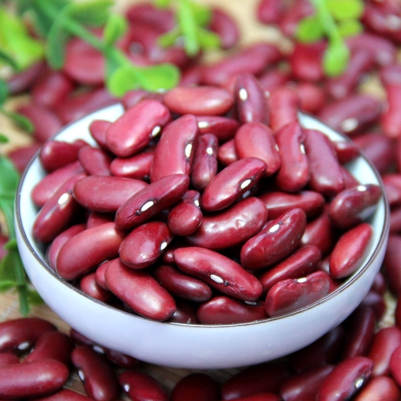 New Crop Red Kidney Beans