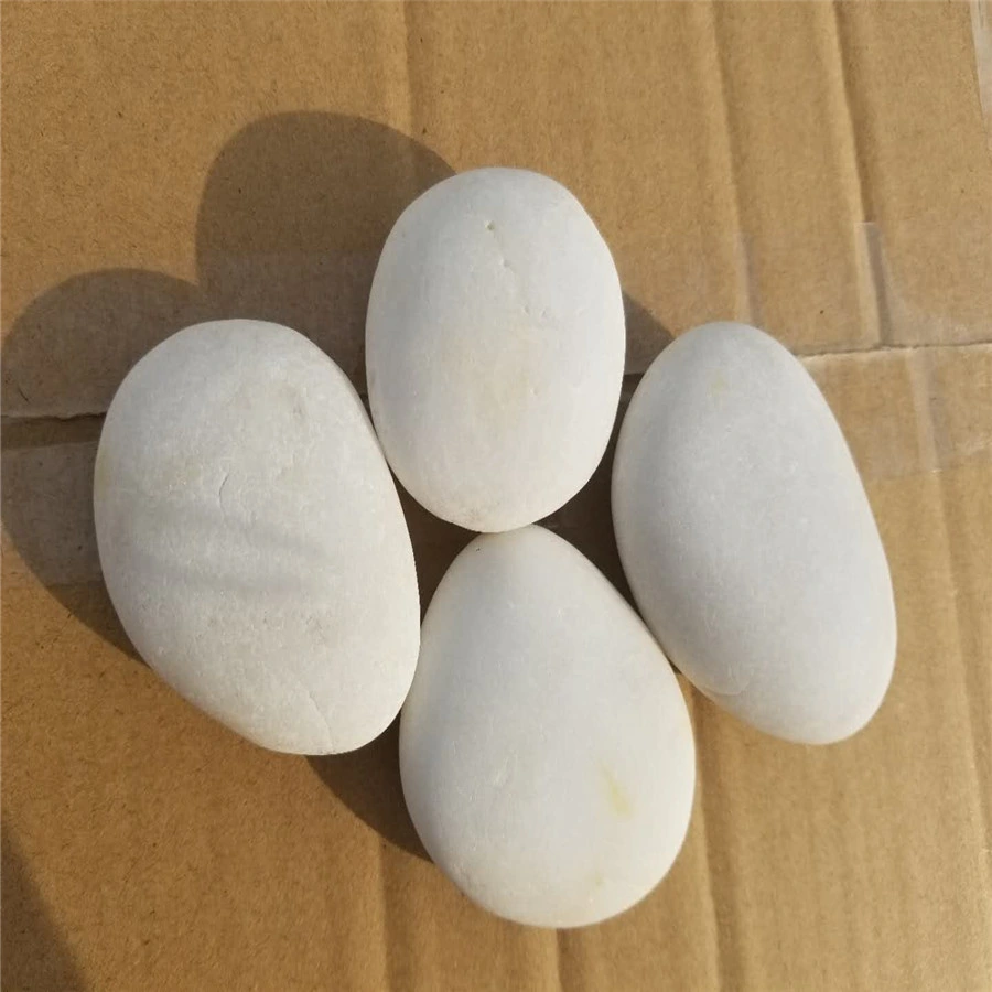 Nature Flat and Round Pebbles White Black Colorful Rocks for Painting