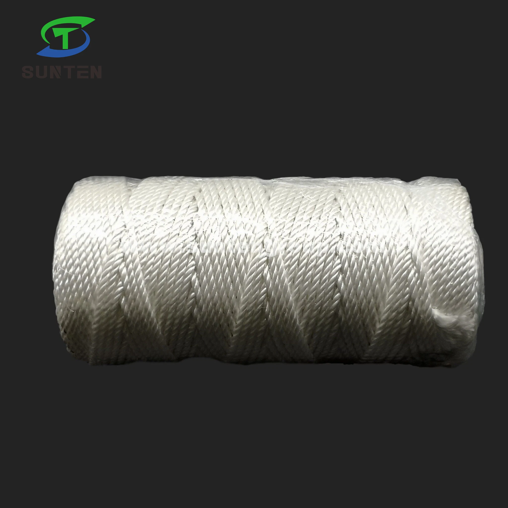 prix d'usine blanc à haute ténacité PE/PP/polyester/nylon/plastique polypropylène tressé Twisted//presse à balles/emballage de thread/Ligne/filet de pêche Thread (210D/380D)