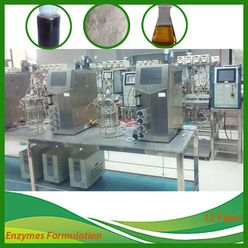 High Activity Catalase Industrial Chemical Catalysts for Textile Dyeing Mills