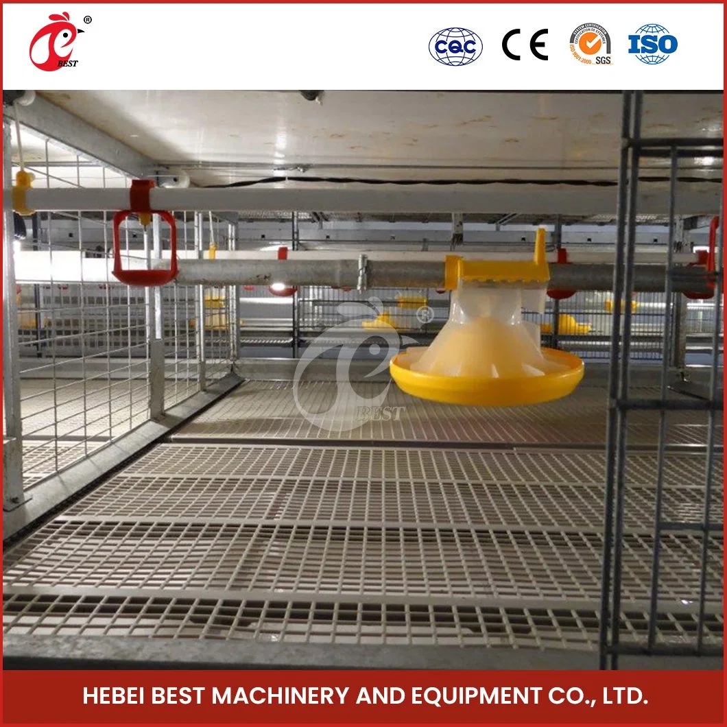 Bestchickencage China Alte Chicken Coop Hersteller H Frame Automatische Boriler Käfige OEM Customized Excellent Column Performance Broiler Cage System Chicken