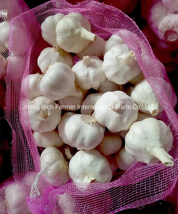 New Crop China Fresh Garlic Seeds Put in Mesh Bag