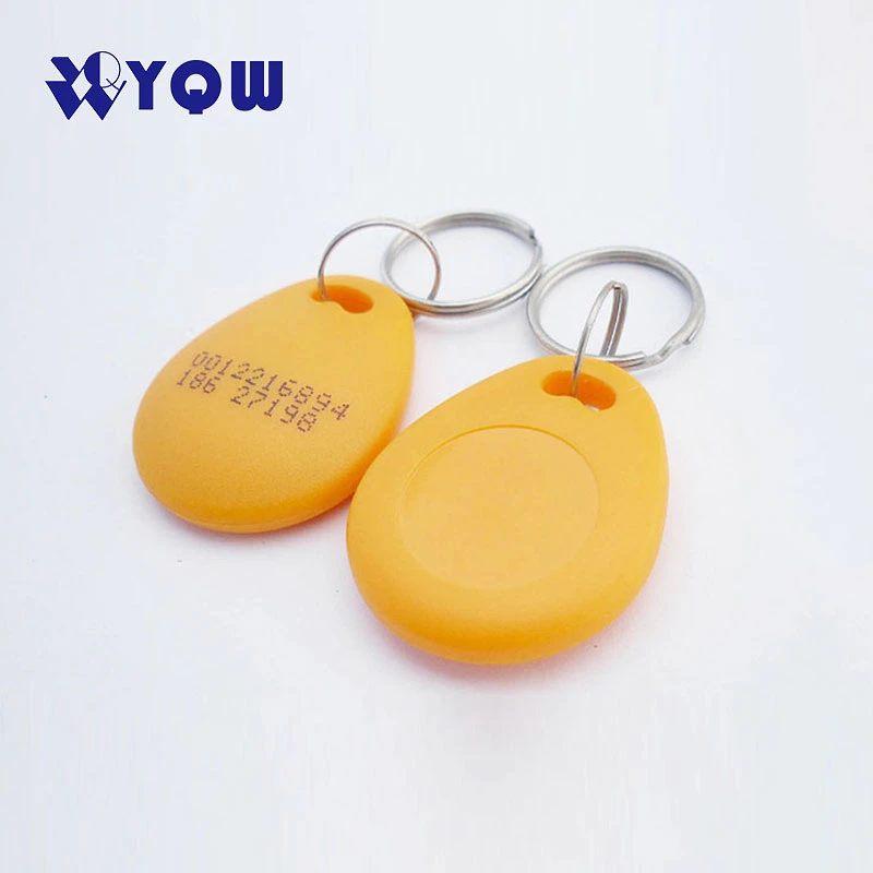 Wholesale/Supplier 125kHz Tk4100 Em4200 RFID Keyfob T5577 Key Fob