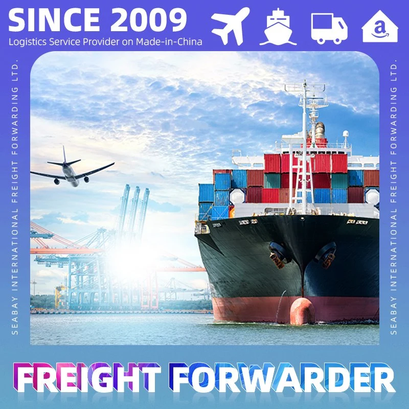 China Shipping Container Freight nach Jacksonville oder Shanghai Ningbo Guangzhou Logistik Versand