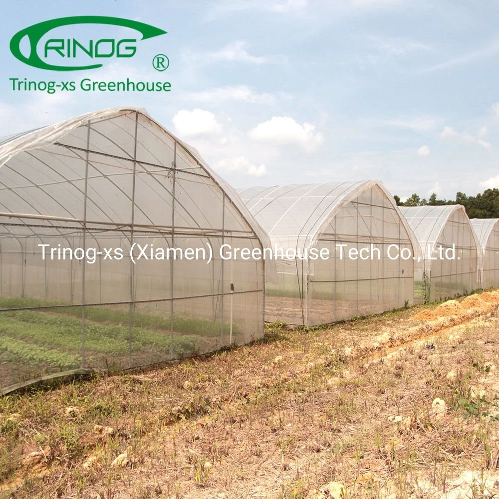 Galvanized Steel Structure tree nursery Tunnel Greenhouse for sale