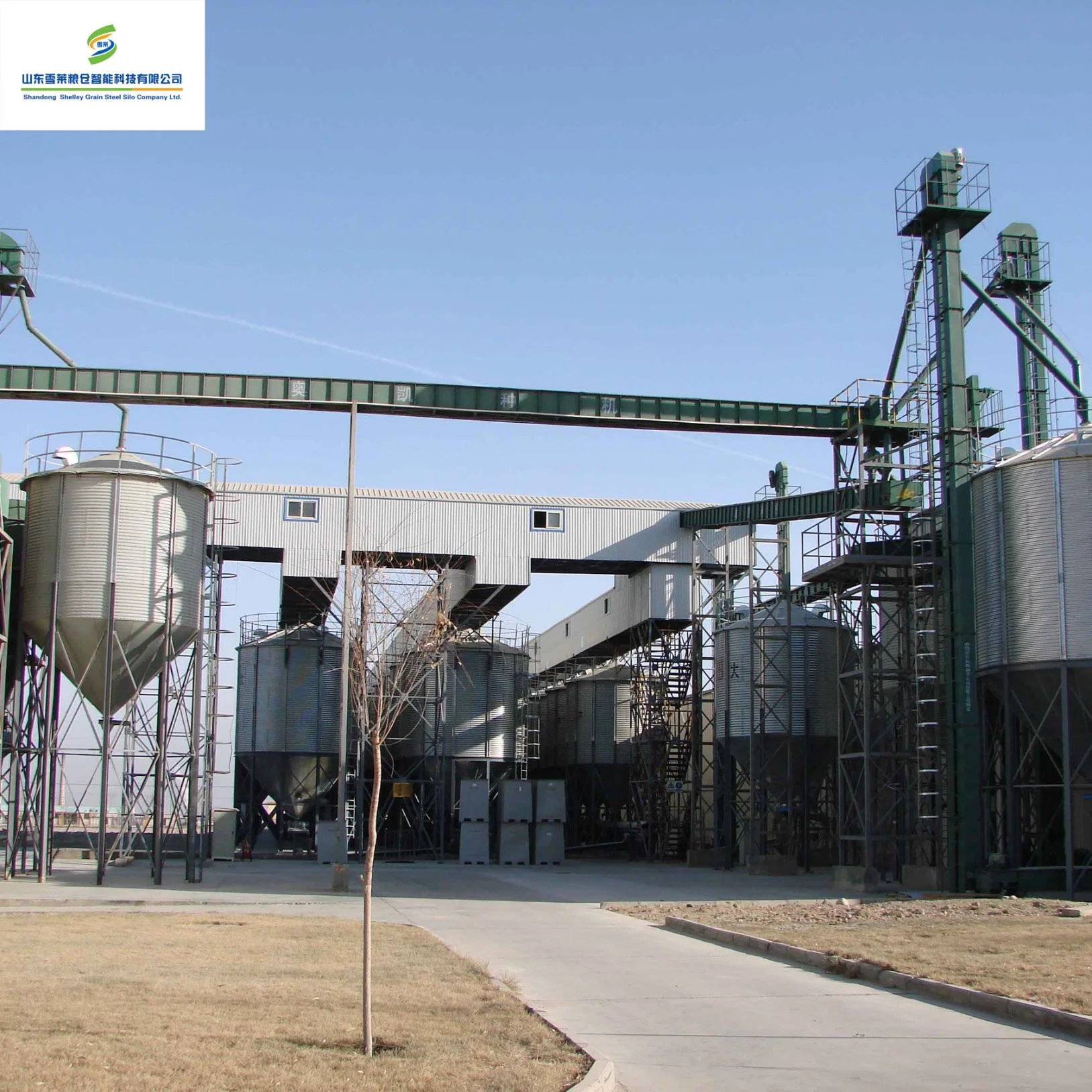 Grande capacidade de saída de fábrica de aço galvanizado Granja Multi-Type exploração suinícola exploração pecuária Silowith Alimentação preço razoável. 500ton Silo de grãos da parte inferior da tremonha