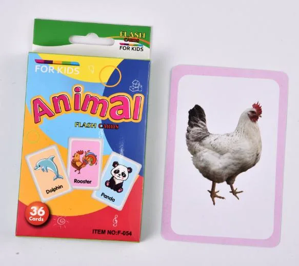 Custom Printed Educational Memory Flash Cards for Children