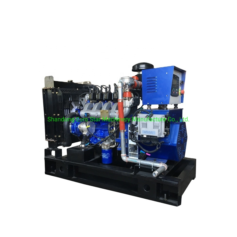 50kw Natural Gas Generator New Energy Silent Natural Generator Sets Mini Natural Gas Generator