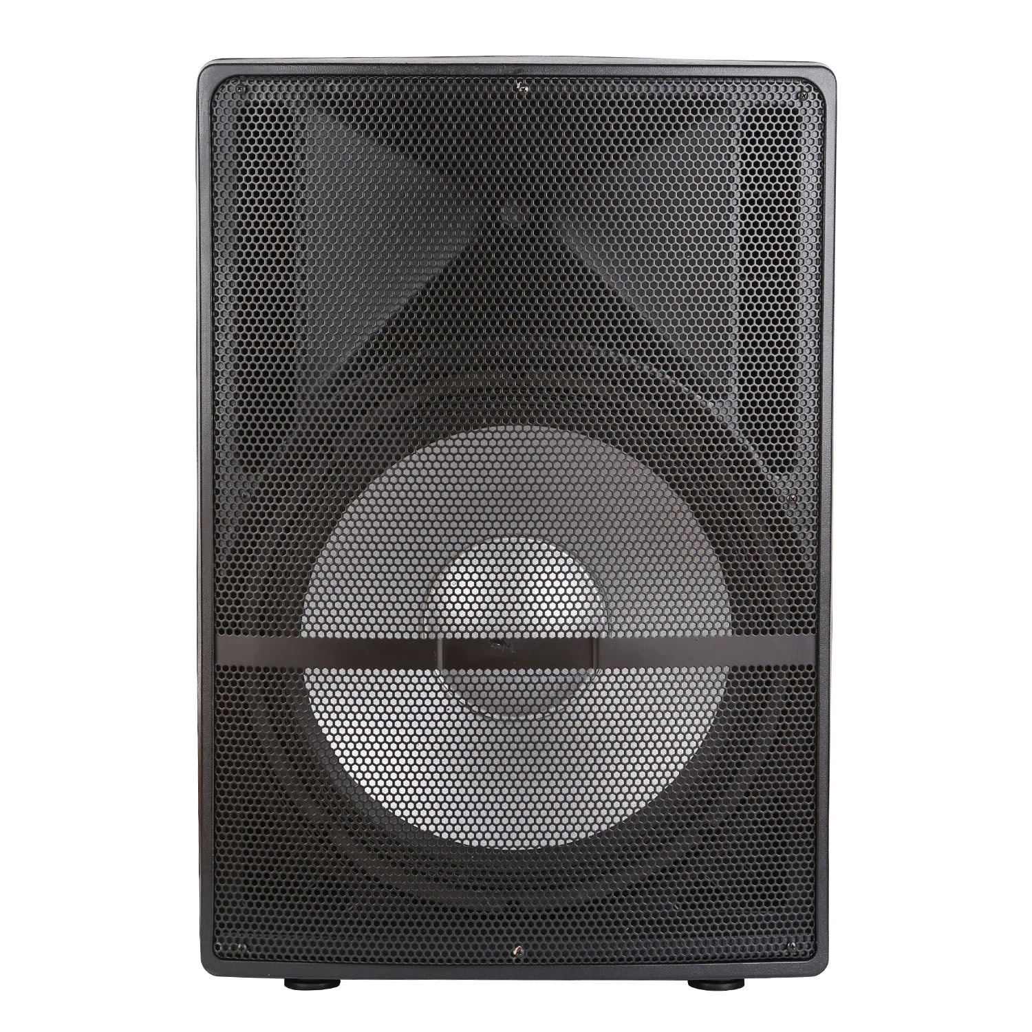 Tws 18" 300W Powered Subwoofer Speaker+Digital DSP+ Wired Mic