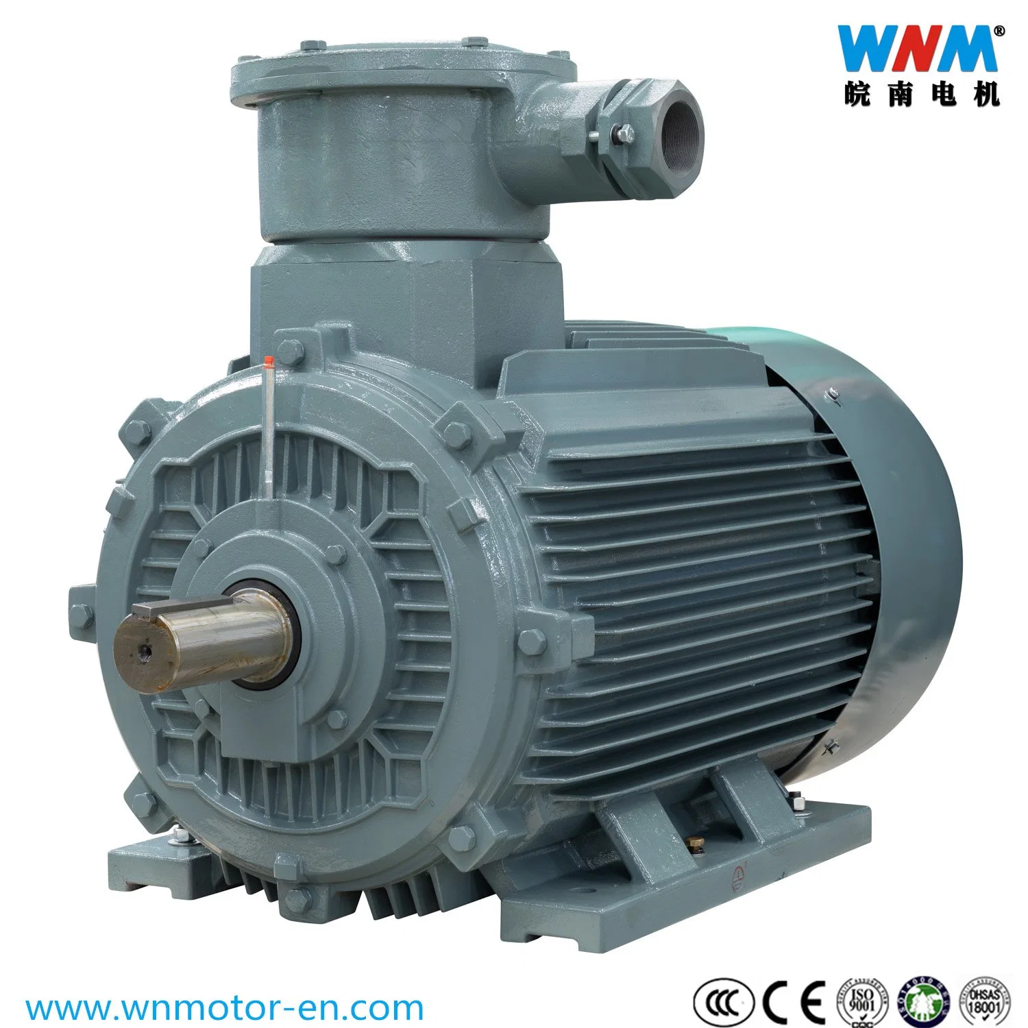 Efficiency Explosion Proof Induction Motor 90kw 4p for Hazardous Location