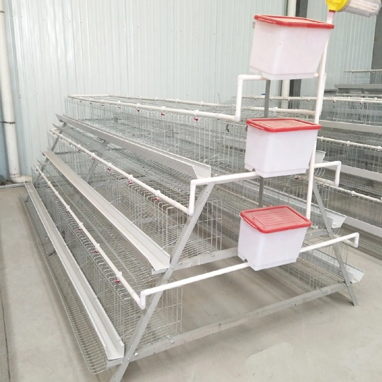 Poultry Farm A Type Galvanized Battery Layer Chicken Cage