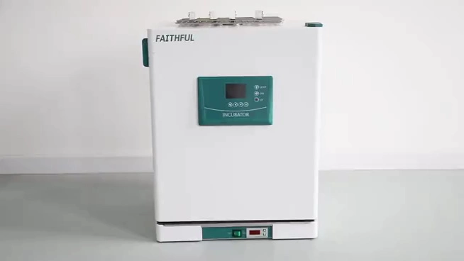 Inkubator Mit Hoher Präzision Und Konstanter Temperatur