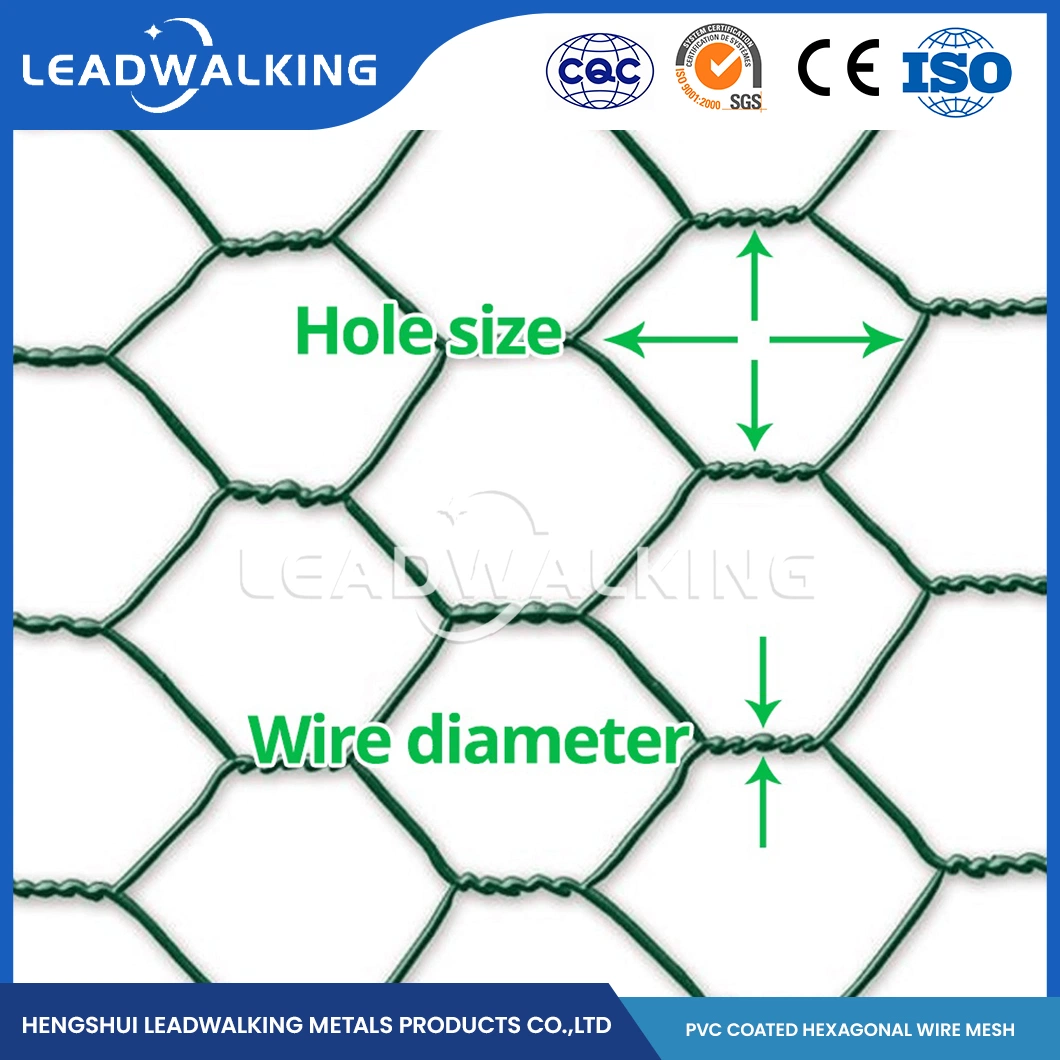 Fil en acier doux Leadwalking Matériel PVC enduites Fox La preuve de poulet de la Chine d'usine de treillis métallique à mailles de 5/8 pouce enduit de PVC maille hexagonale à tête hexagonale