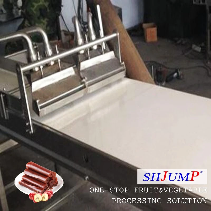 Leather Drying Machine /Fruit Leather Drying Machine/ Fruit Leather Making Machine