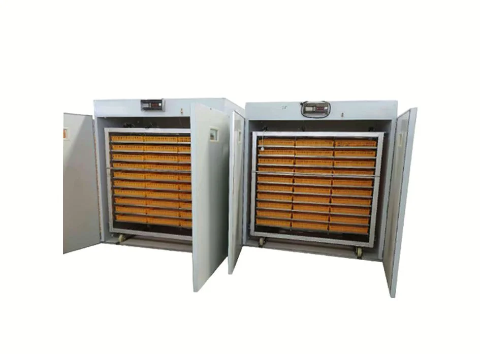 Factory Wholesale/Supplier Medium Farm Laboratory Egg Incubator