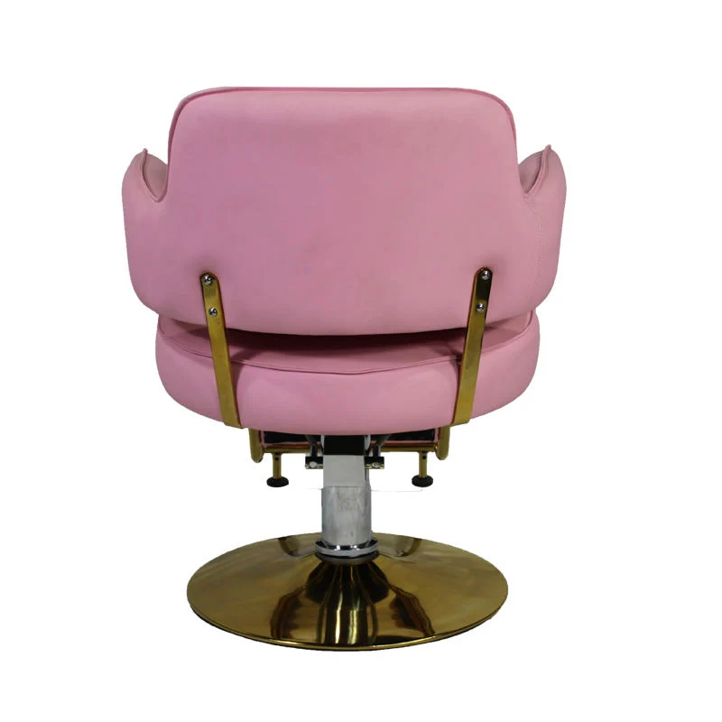 Pink Customized Stylish Furniture Salon Beauty Barber Chair Equipment