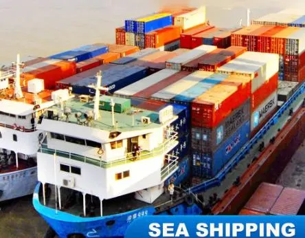 Maritime Transport From China to Spain Freight Forwarder LCL DDP DDU Logistics Service